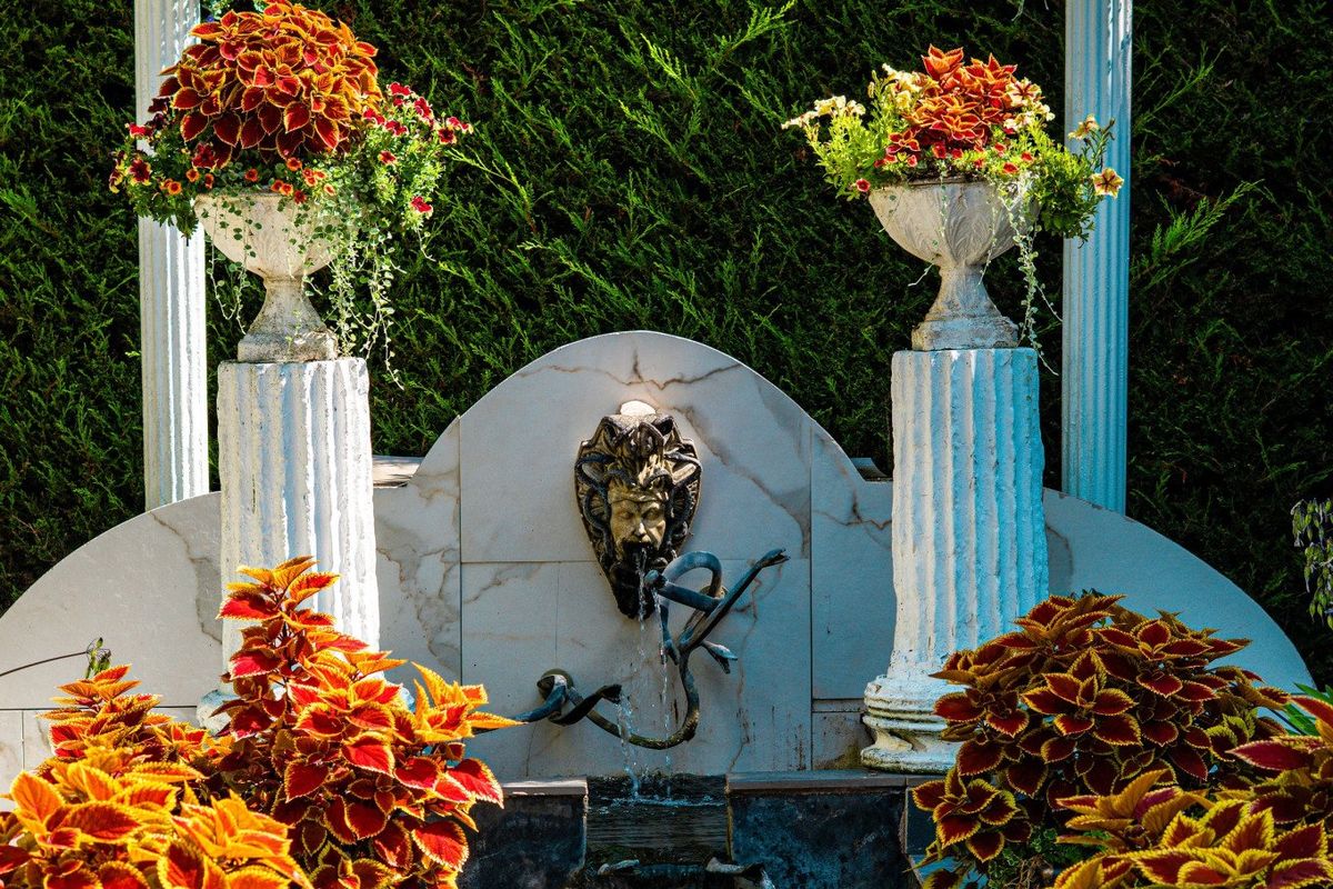 National Garden Scheme Open Day