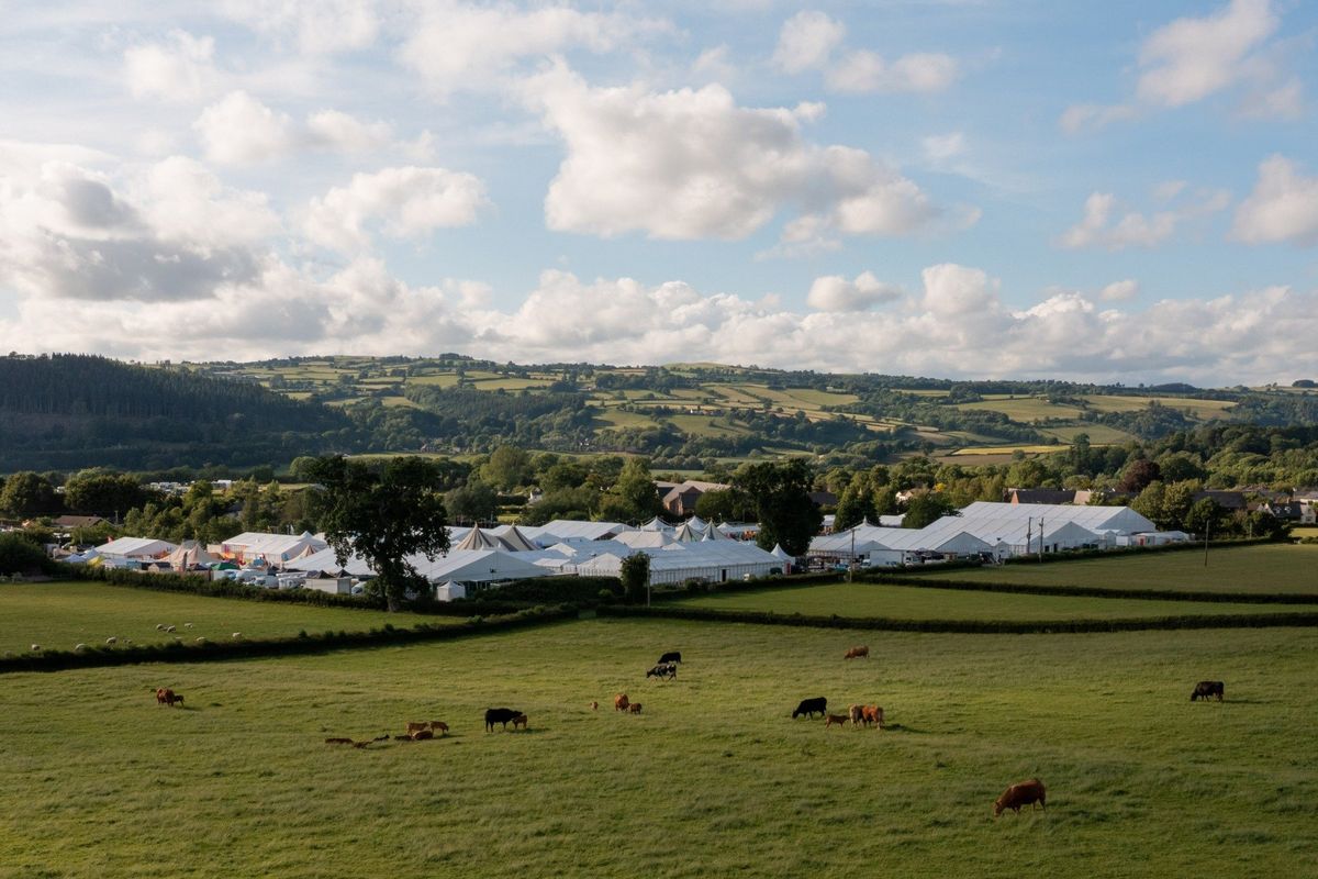 Hay Festival
