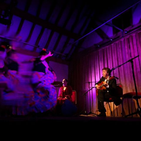 Juan Martin Concert