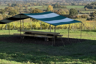 Vineyard feasting table at The White Heron Estate