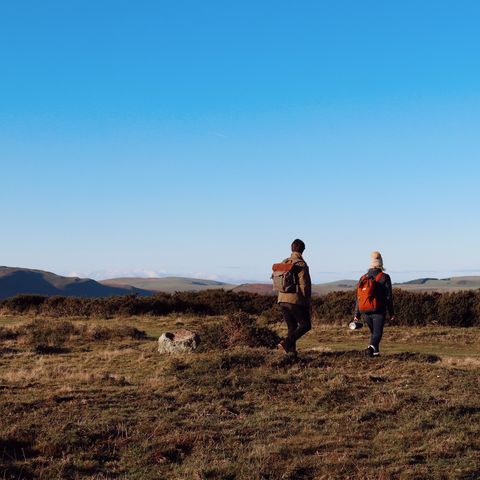 Hergest Ridge