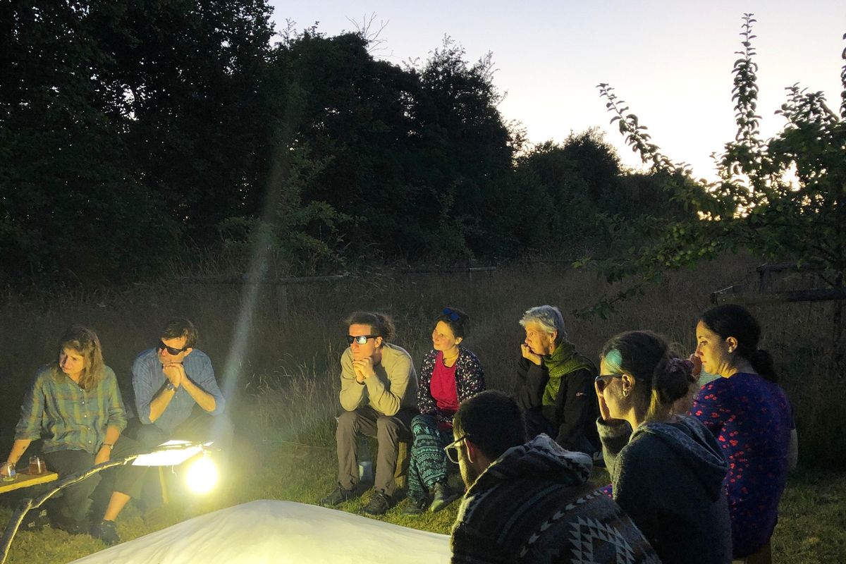 Moth spotting workshops in the orchard