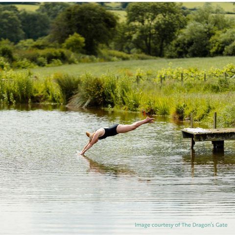 woman diving into natural swimming pool 