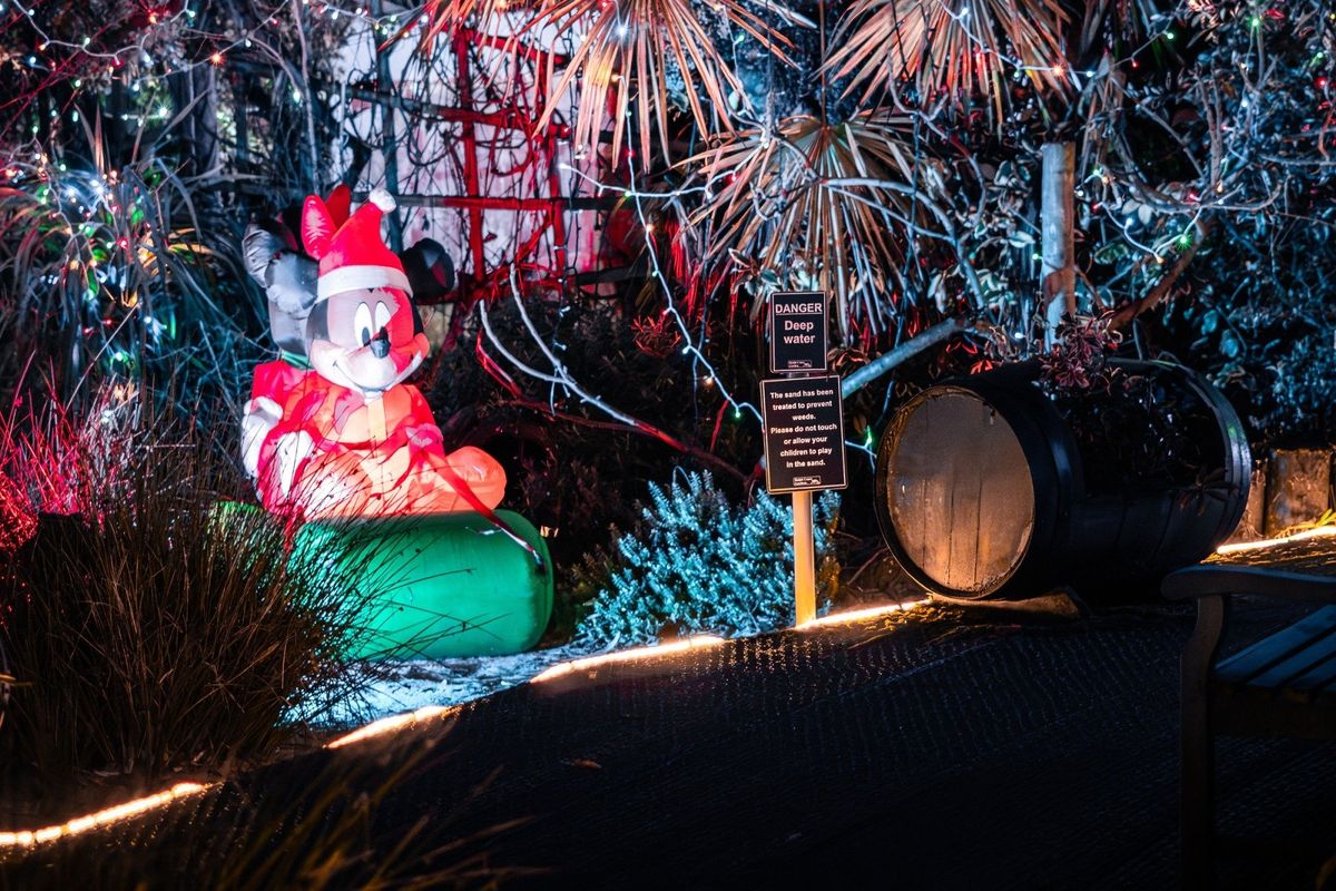 Winter Wonderland Evening Event