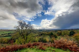 Hergest Ridge