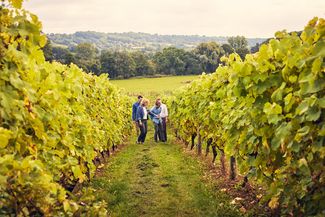 Guests on a vineyard tour 