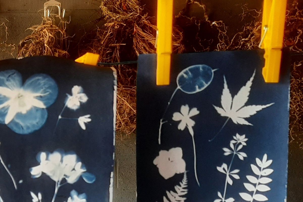 Cyanotype Blueprinting Workshops. Alexa Summers Art.