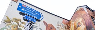 Street art mural called Cattles and Apples