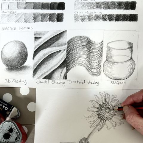 Beginner’s Drawing Workshop