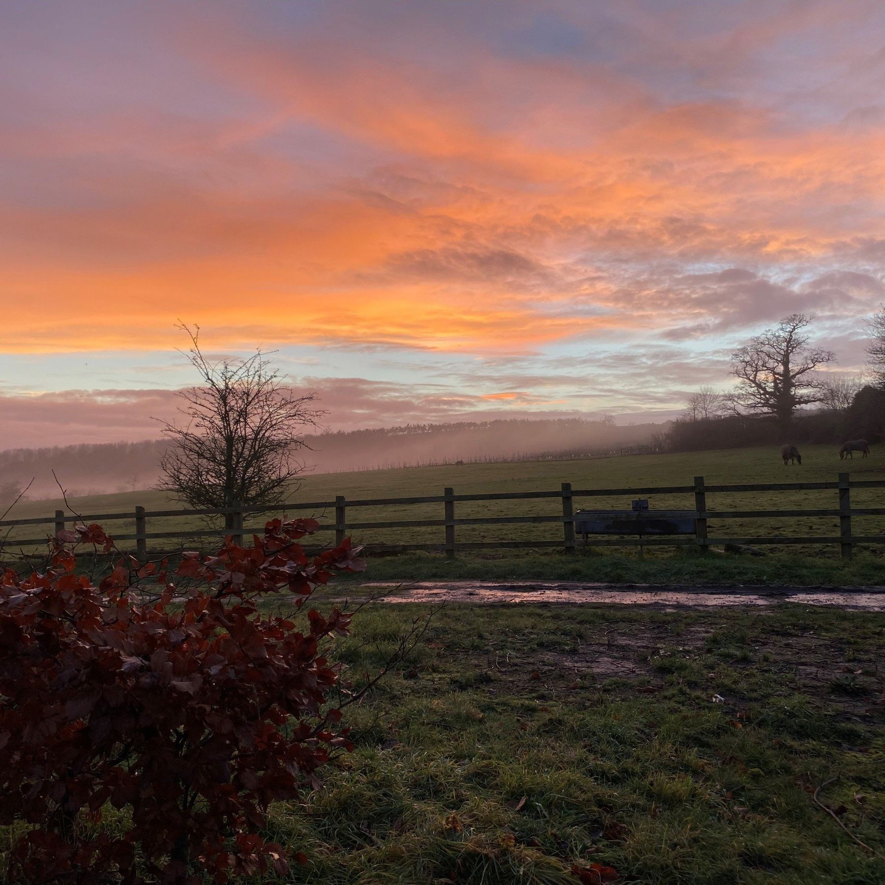 Spectacular sunset over the valley