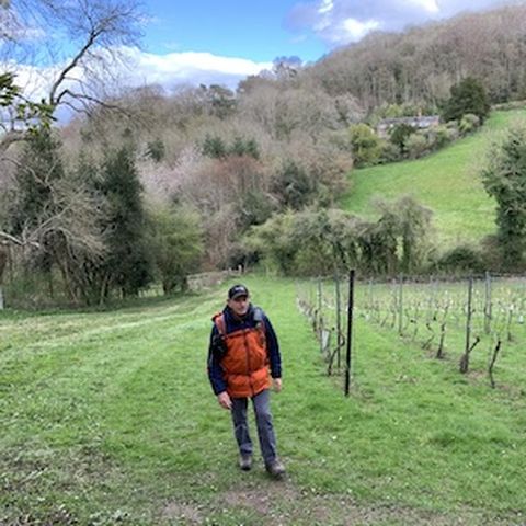 Wythall Estate Wine Walk