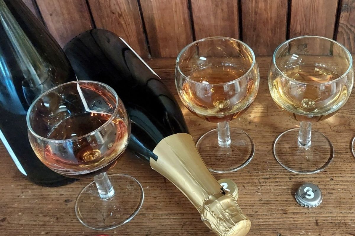 Cheese, Cider & Perry Tasting Evening
