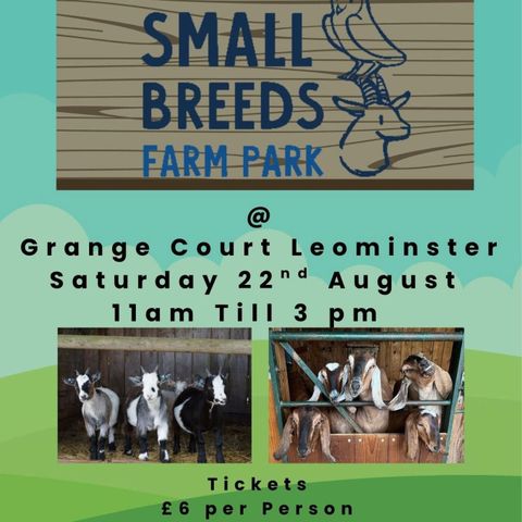 Small Breeds Farm Park at Grange Court