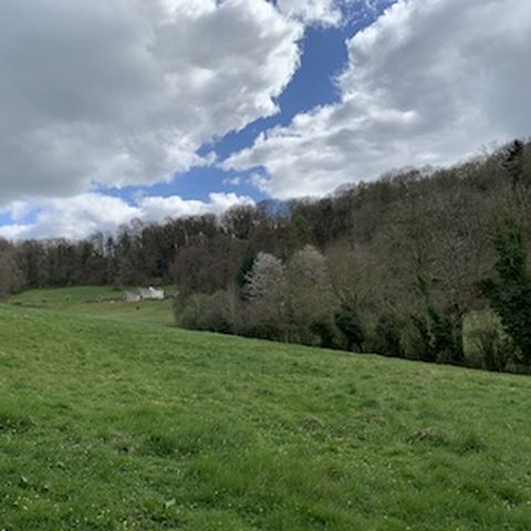 Wythall Estate Wine Walk 