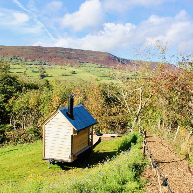 Wild Sauna at Warmth and Wonder
