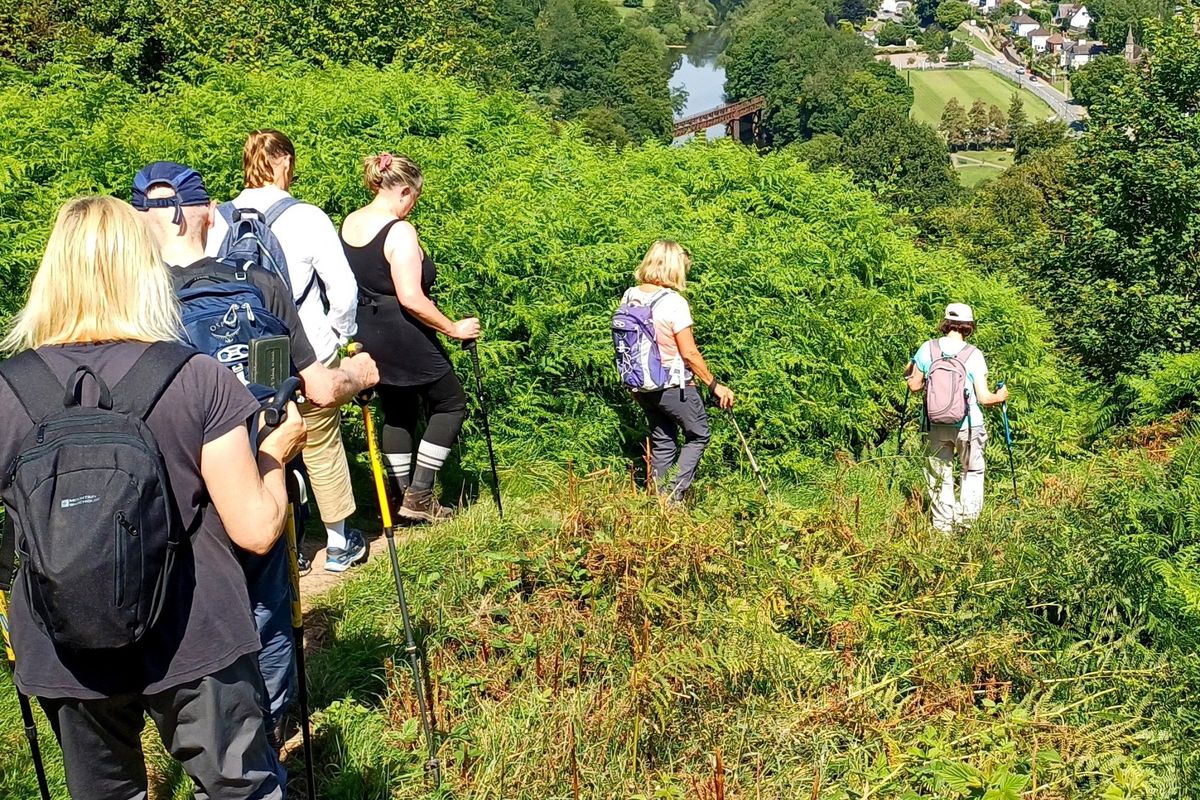 Ross Walking Festival