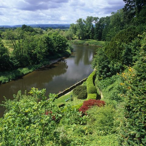 The Weir Garden