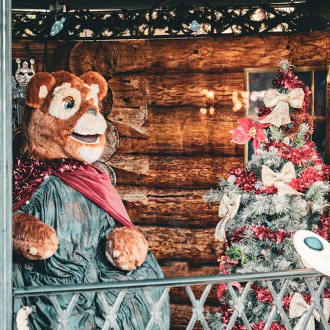Winter Wonderland Daytime Event