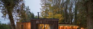 A treehouse in the early evening light