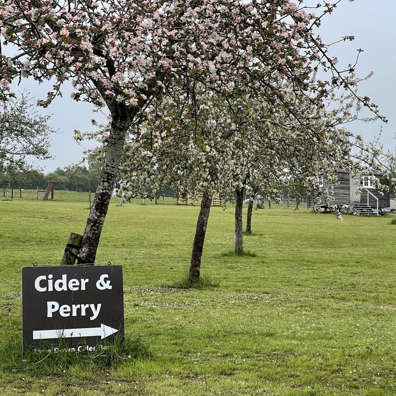 Lyne Down Organics Limited