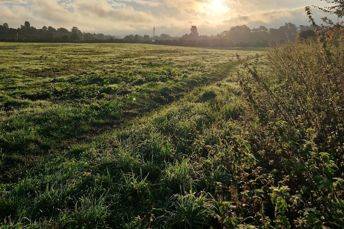 Out of the City — The Dinedor Walk