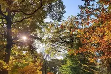 Queenswood Arboretum