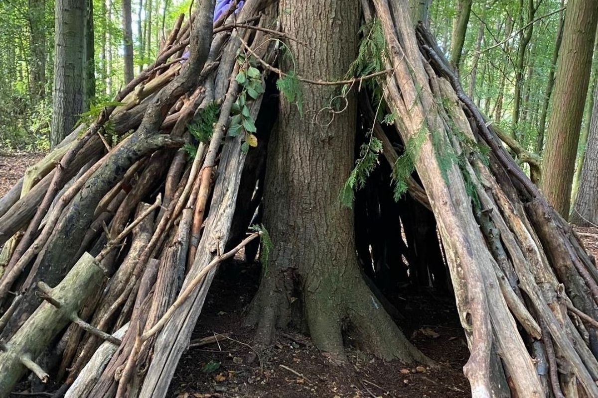 Den building 