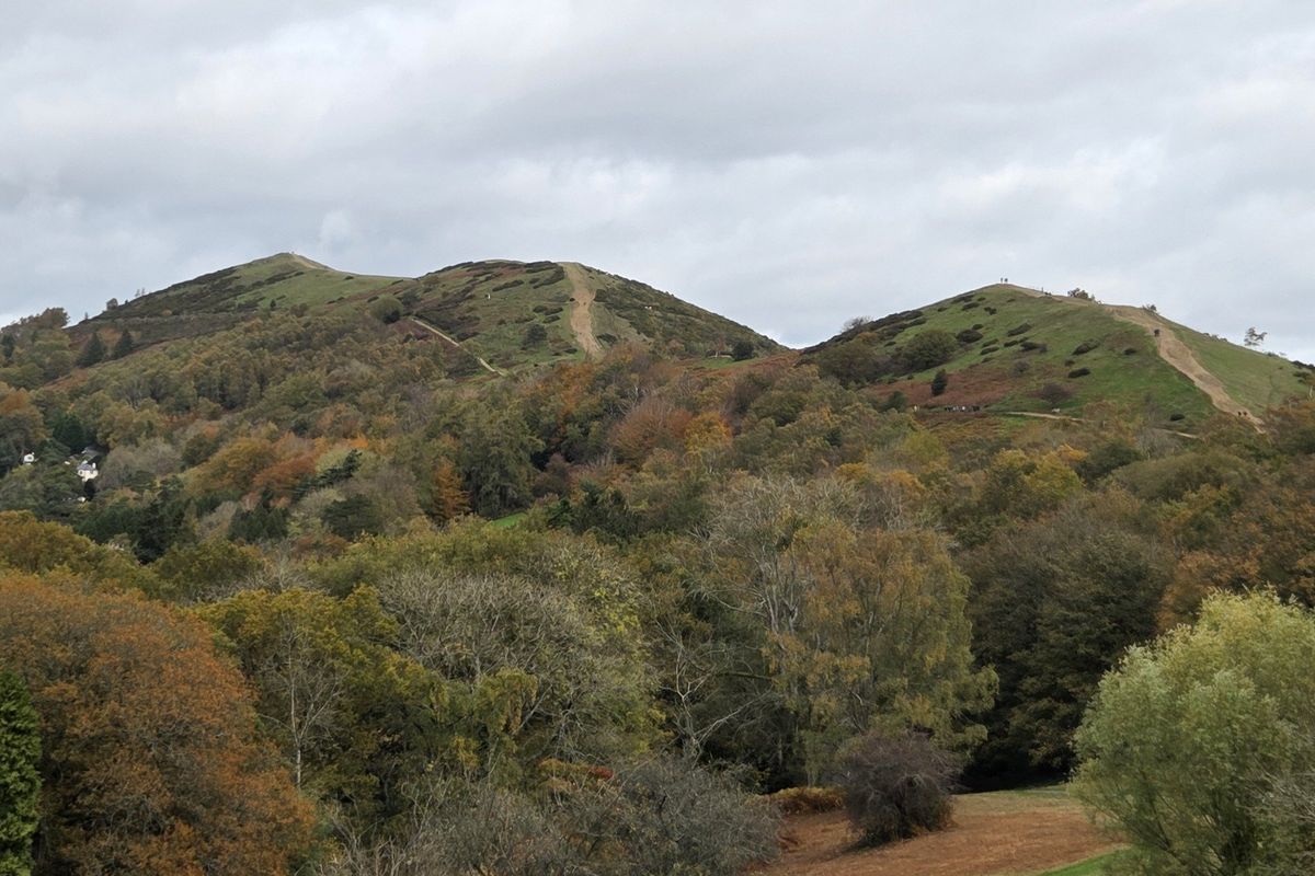 Autumnal colours on the hills