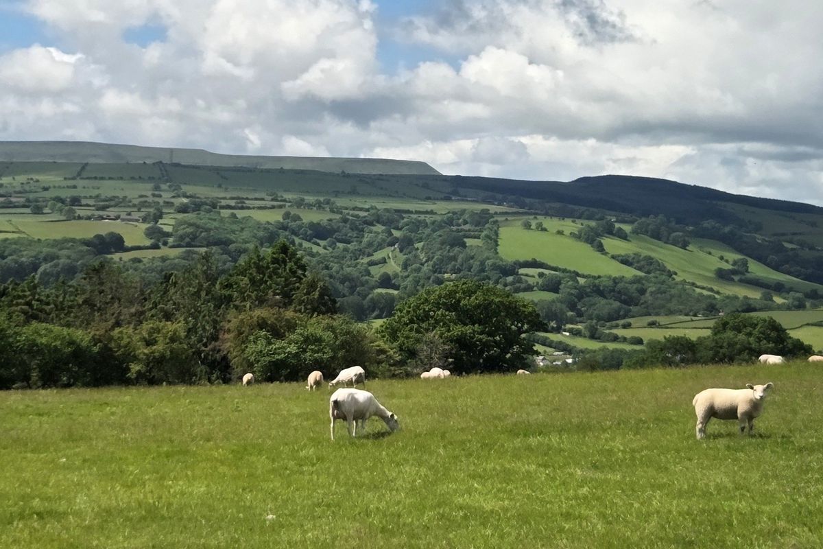 Great views across the Golden Valley