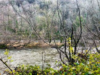 symonds yat