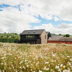 The wildflower meadow