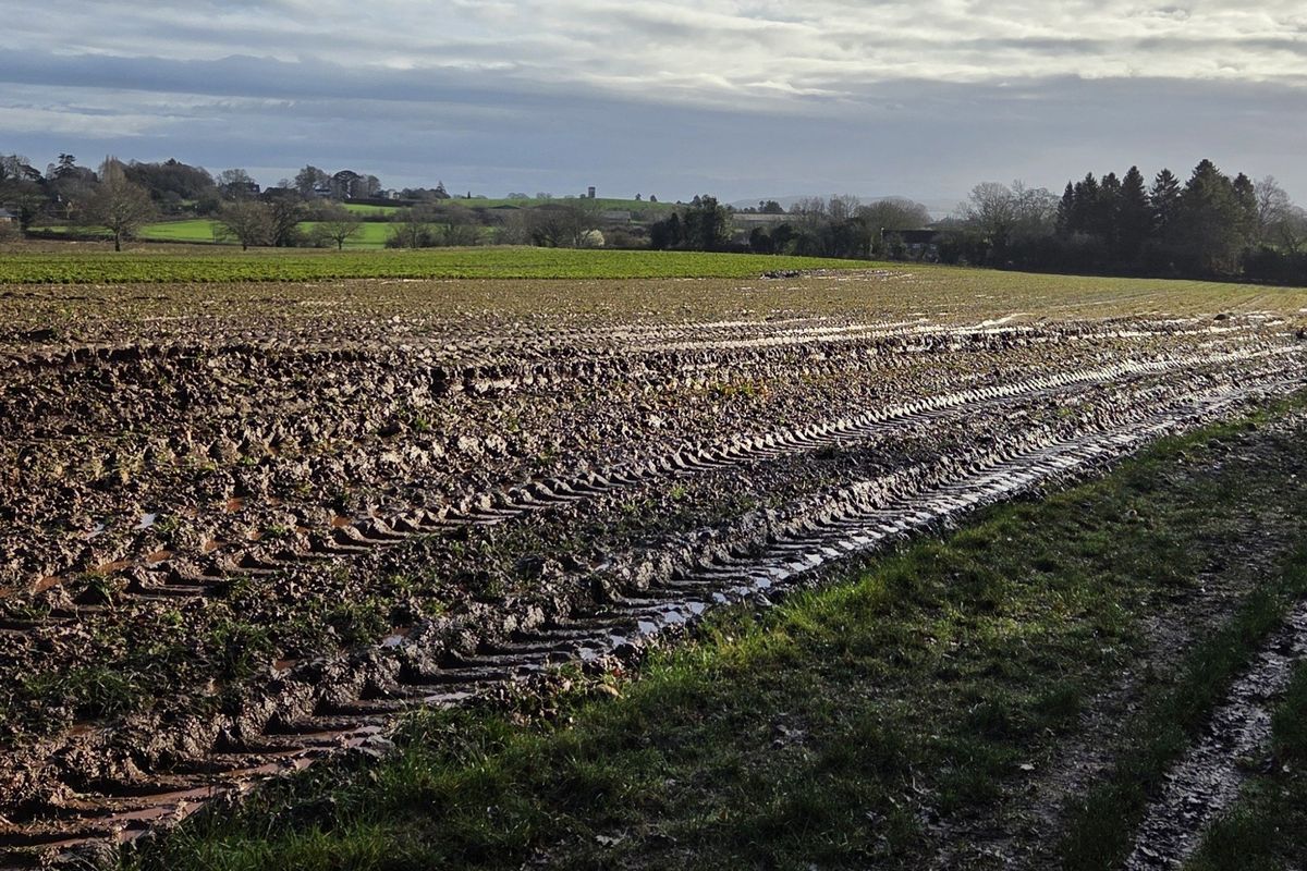 Family Walk: A river and orchards wander around Breinton
