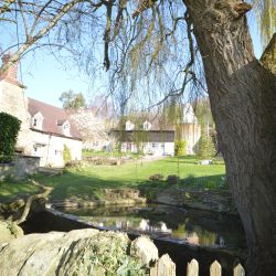 Across the duckpond