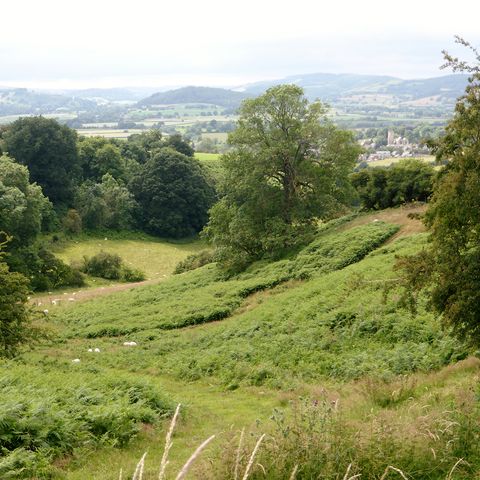 View to Leintwardine