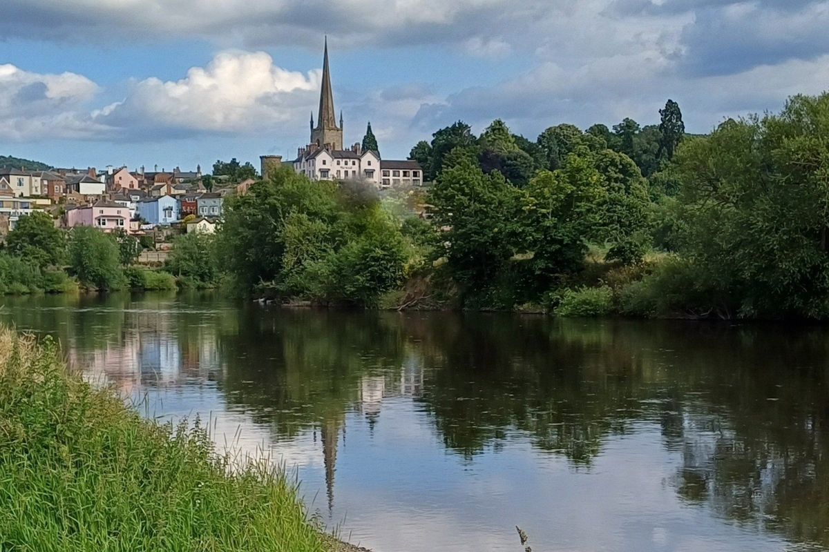 Ross Walking Festival