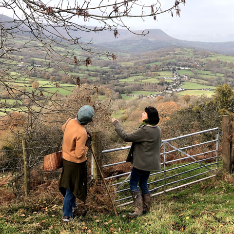 foraging