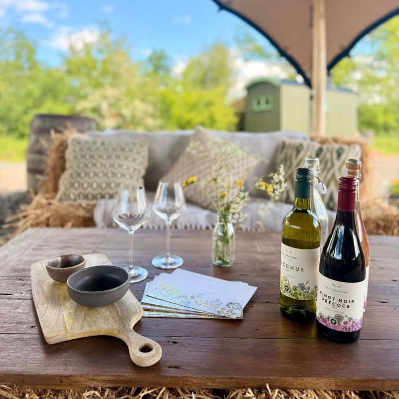 Two Beacons Vineyard
