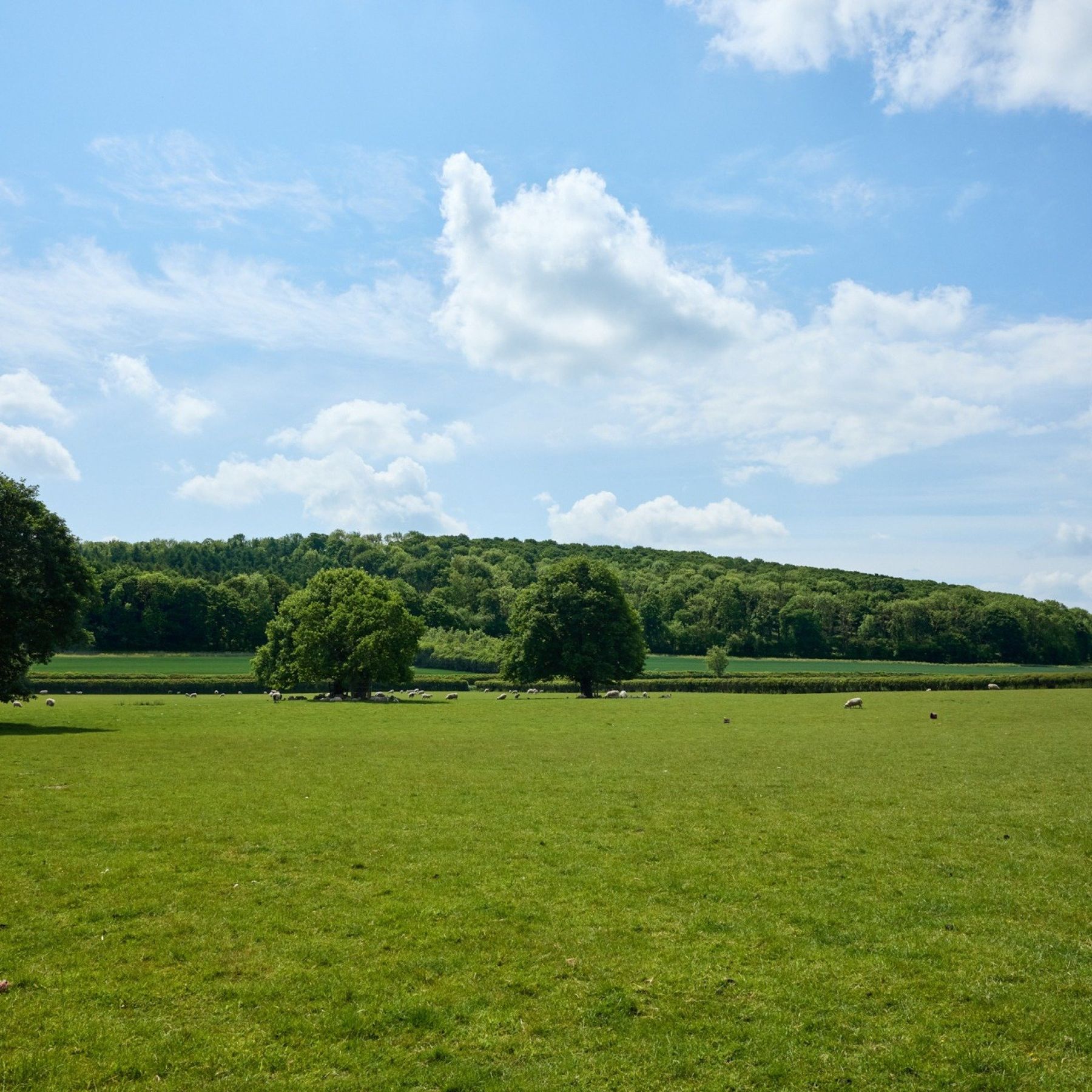 Views across the Hindwell Valley
