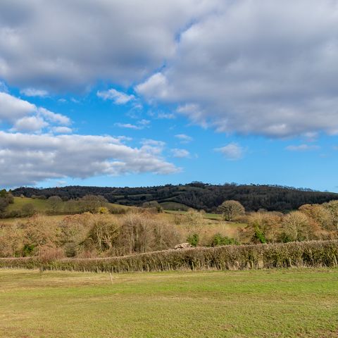 Merbach Hill
