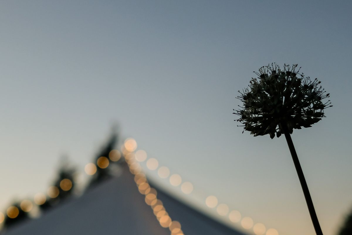 Hay Festival at Twilight