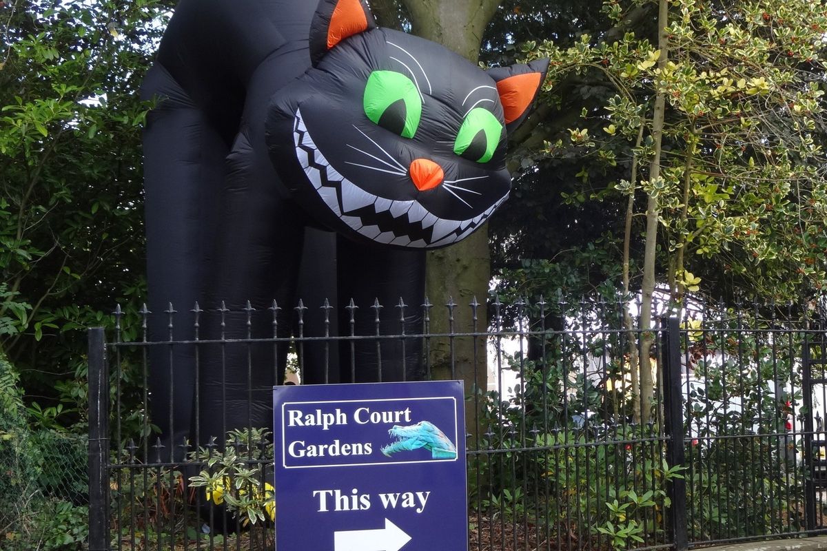 Entrance giant cat