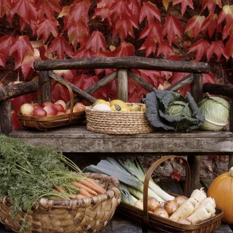 harvest