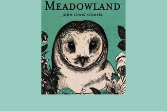 Book front cover