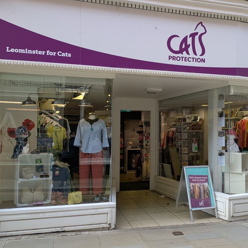 Cats Protection