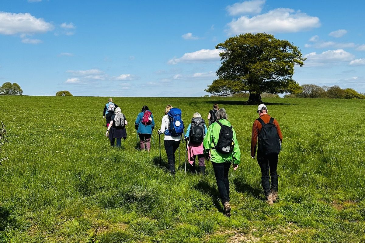 Walkers in a field in Herefordshire