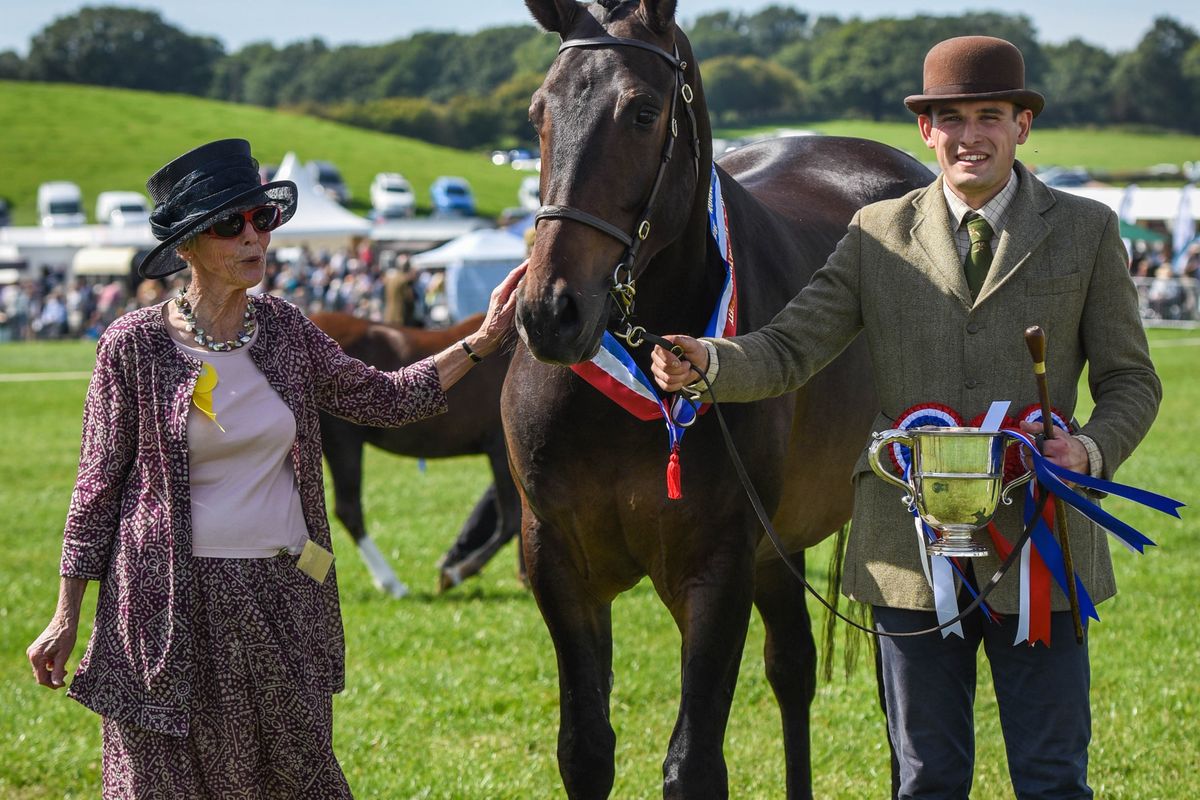 Champion Horse 2019