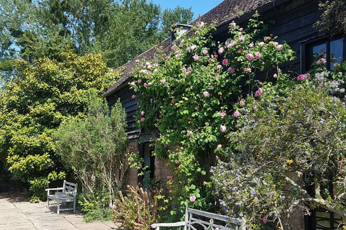 The Garden Gallery