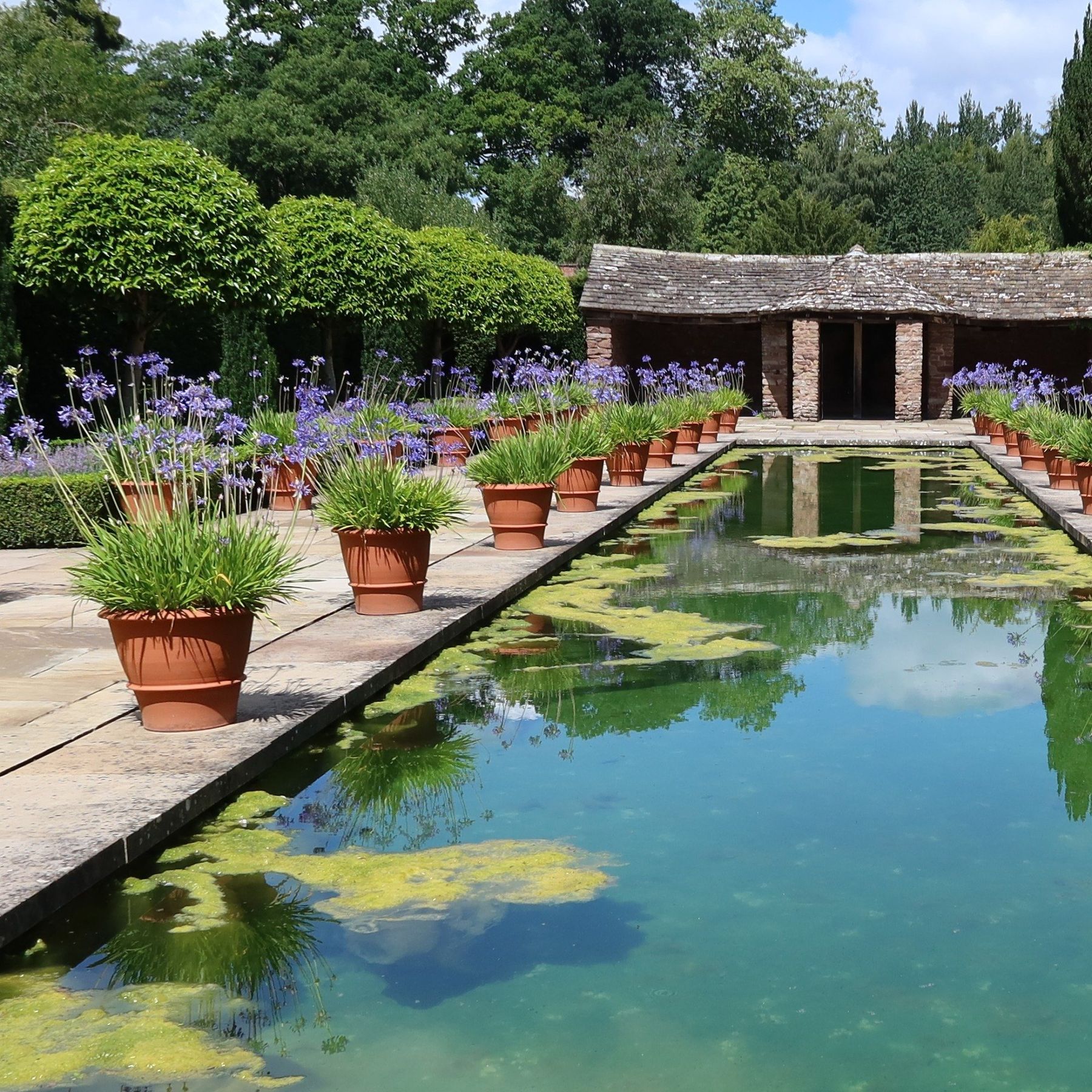 Dutch Garden
