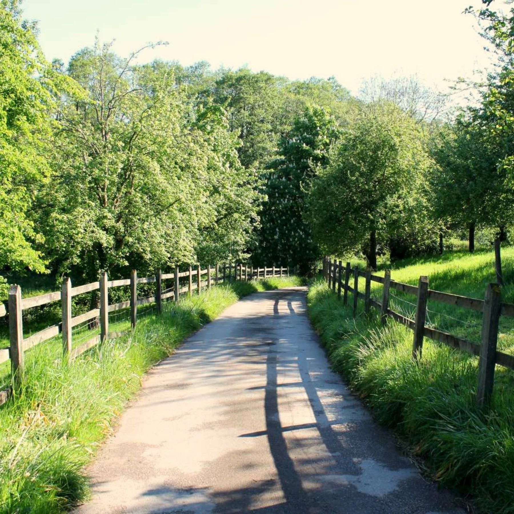 The long & winding entrance to Broome Farm