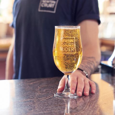 An evening with Gabe Cook - The Ciderologist